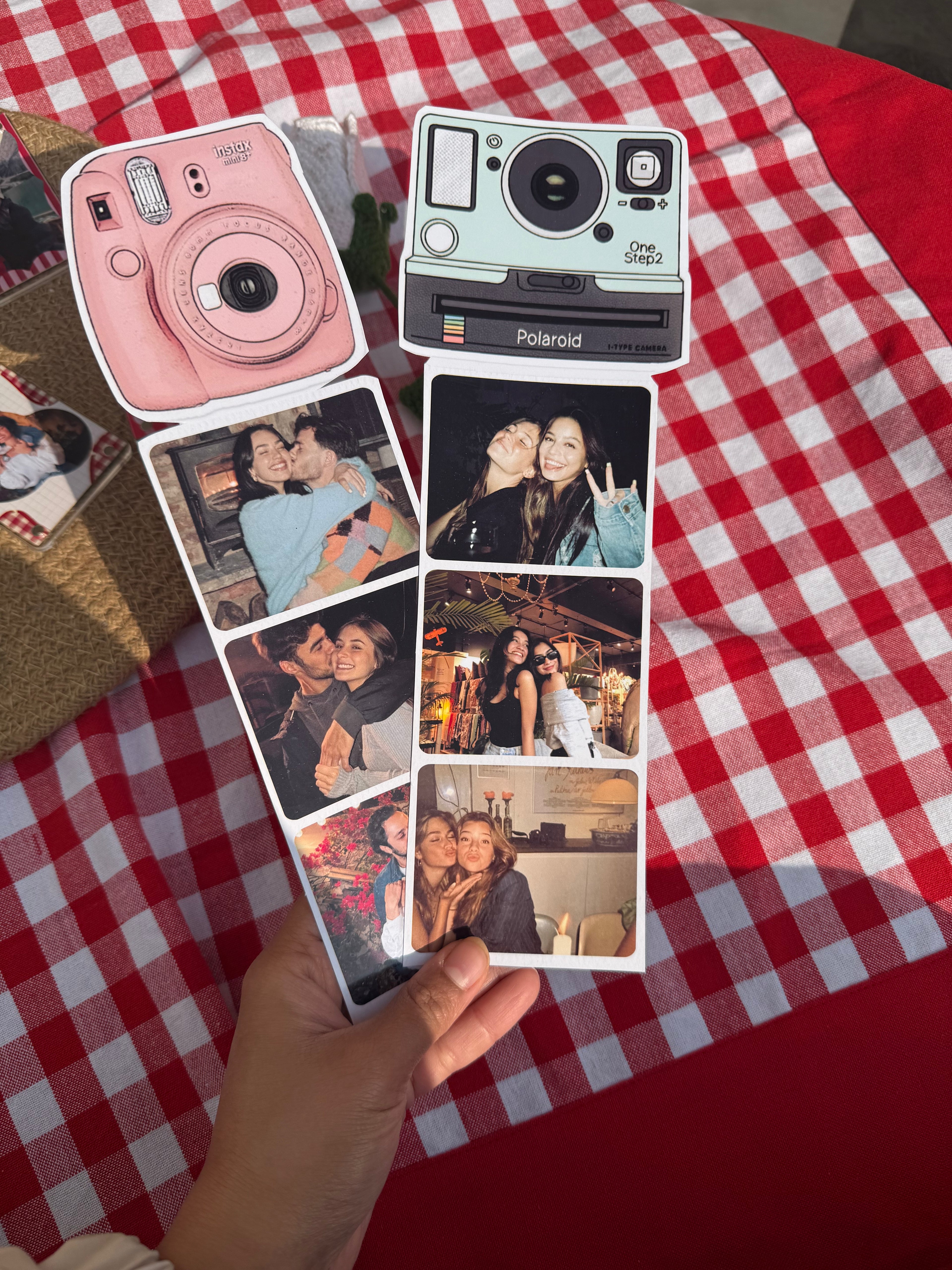 Polaroid Camera Strips
