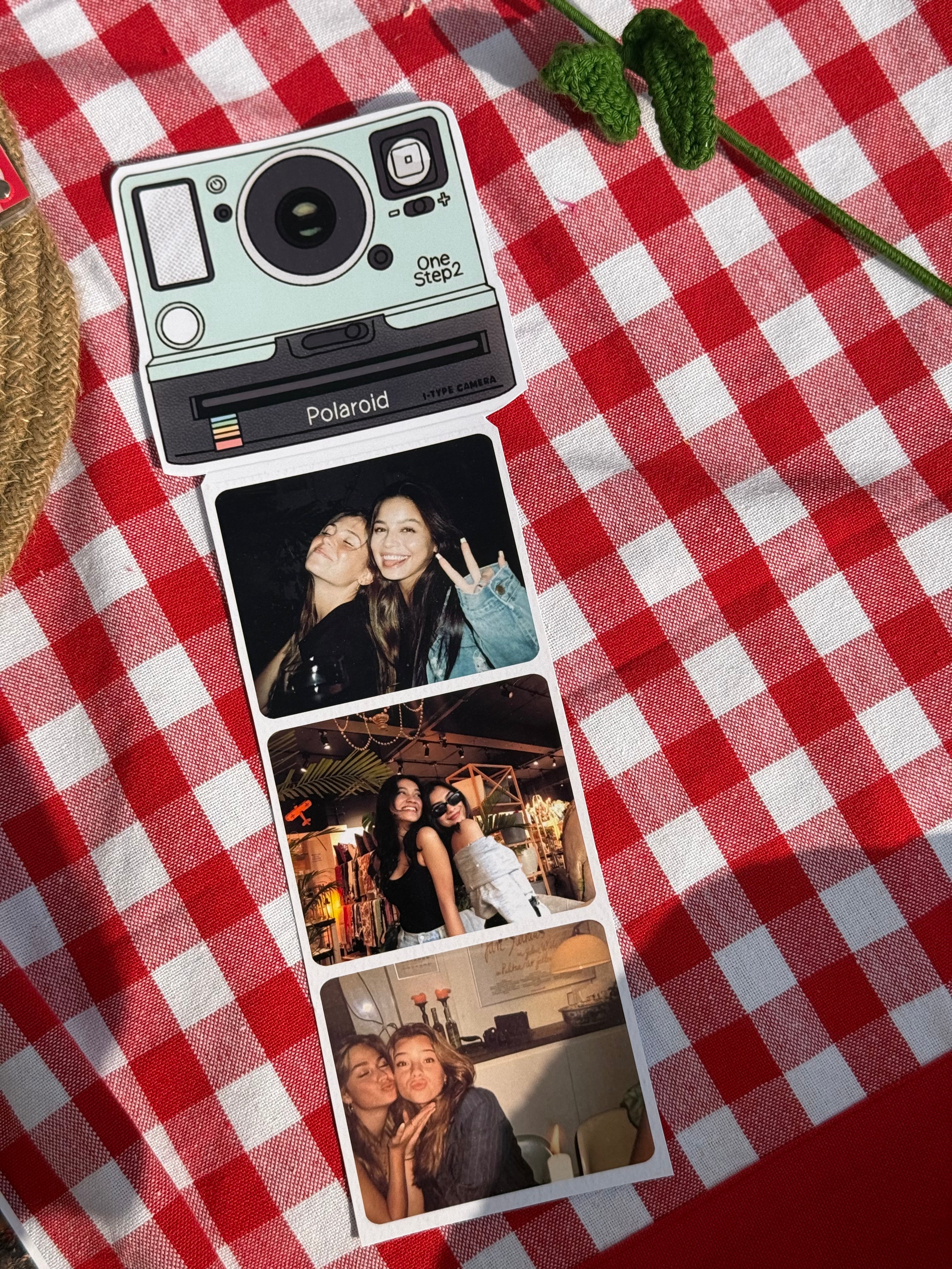 Polaroid Camera Strips