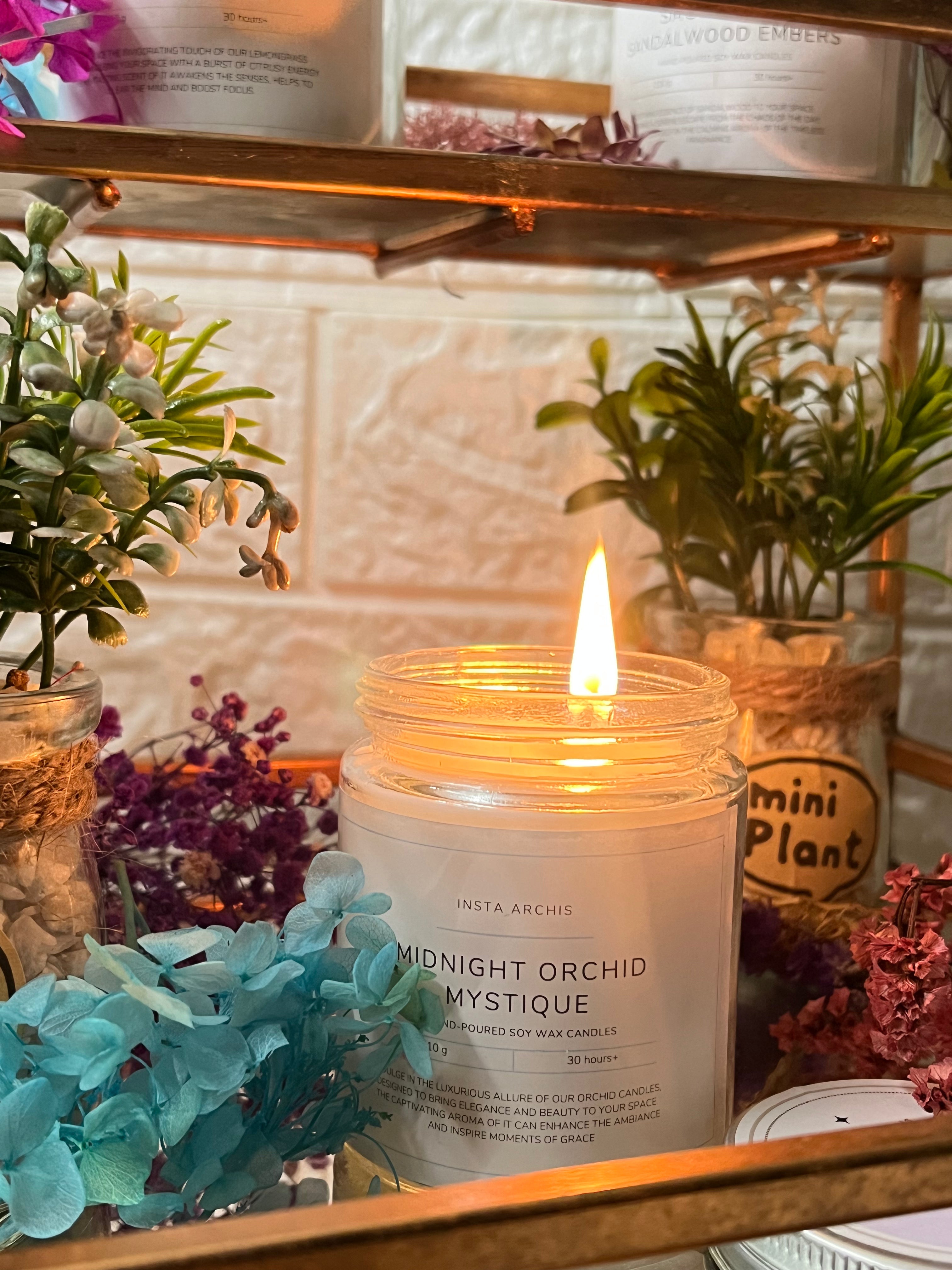 Midnight Orchid Mystique